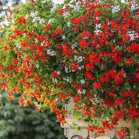 Hotel Bauernhof Glanzern Westendorf