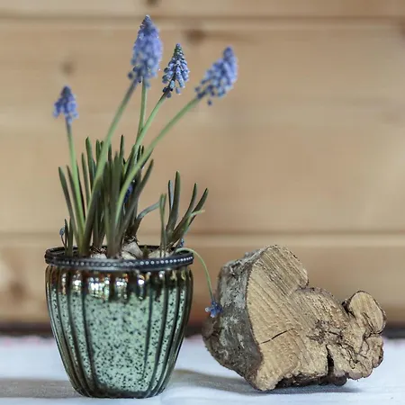 Hotel Bauernhof Glanzern *