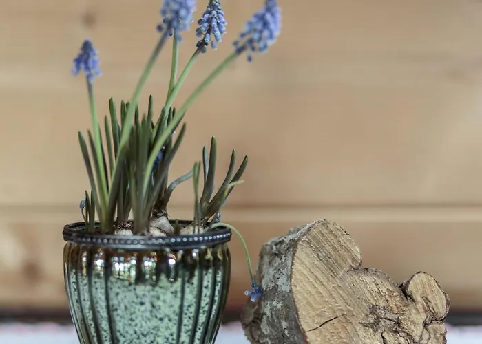 Alojamento de Turismo Rural Bauernhof Glanzern *